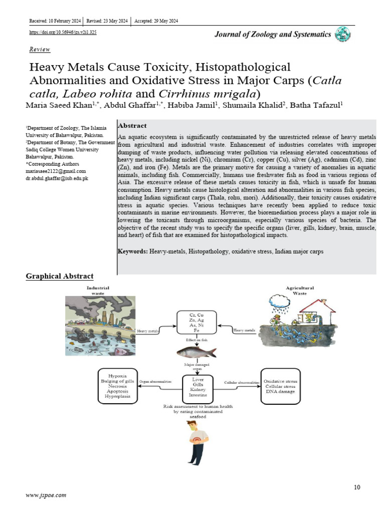Heavy Metals Impact on Major Carps | PDF | Reactive Oxygen Species ...