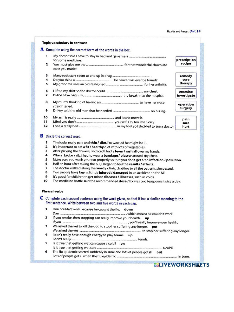 b2 Vocabulary Practice | PDF