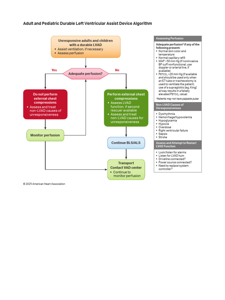 LVAD Emergency Protocols for Adults & Kids | PDF | Medical Specialties ...