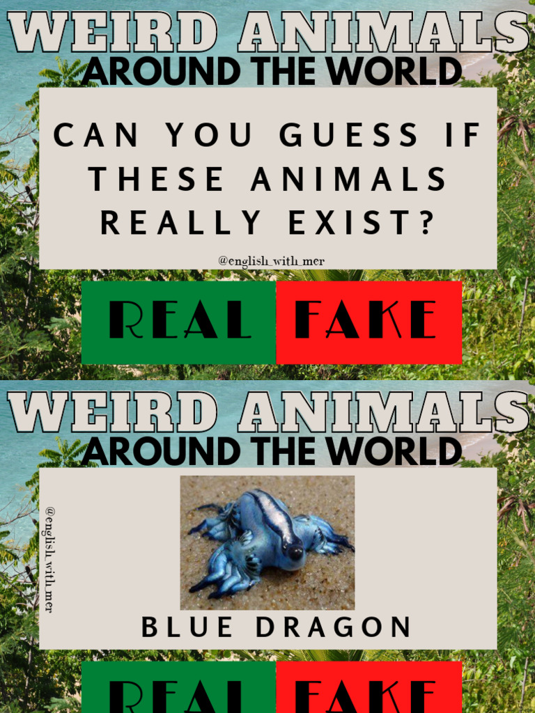 Real vs. Fake Weird Animals | PDF | Deer | Zoology