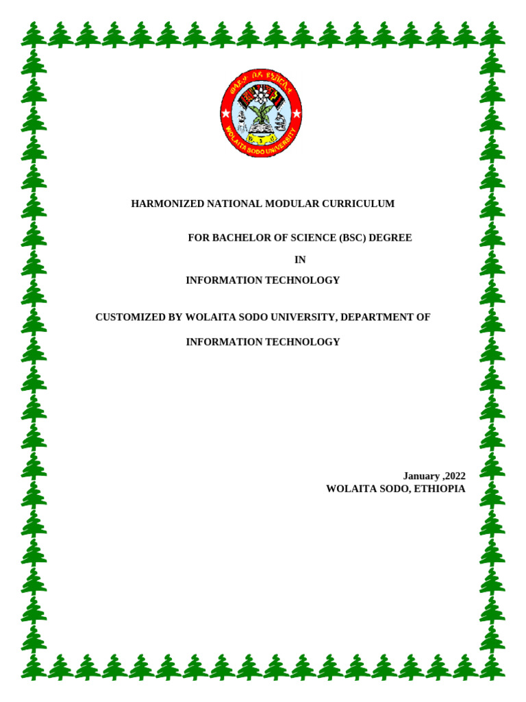 BSc Information Technology Curriculum 2022 | PDF | Computer Program ...
