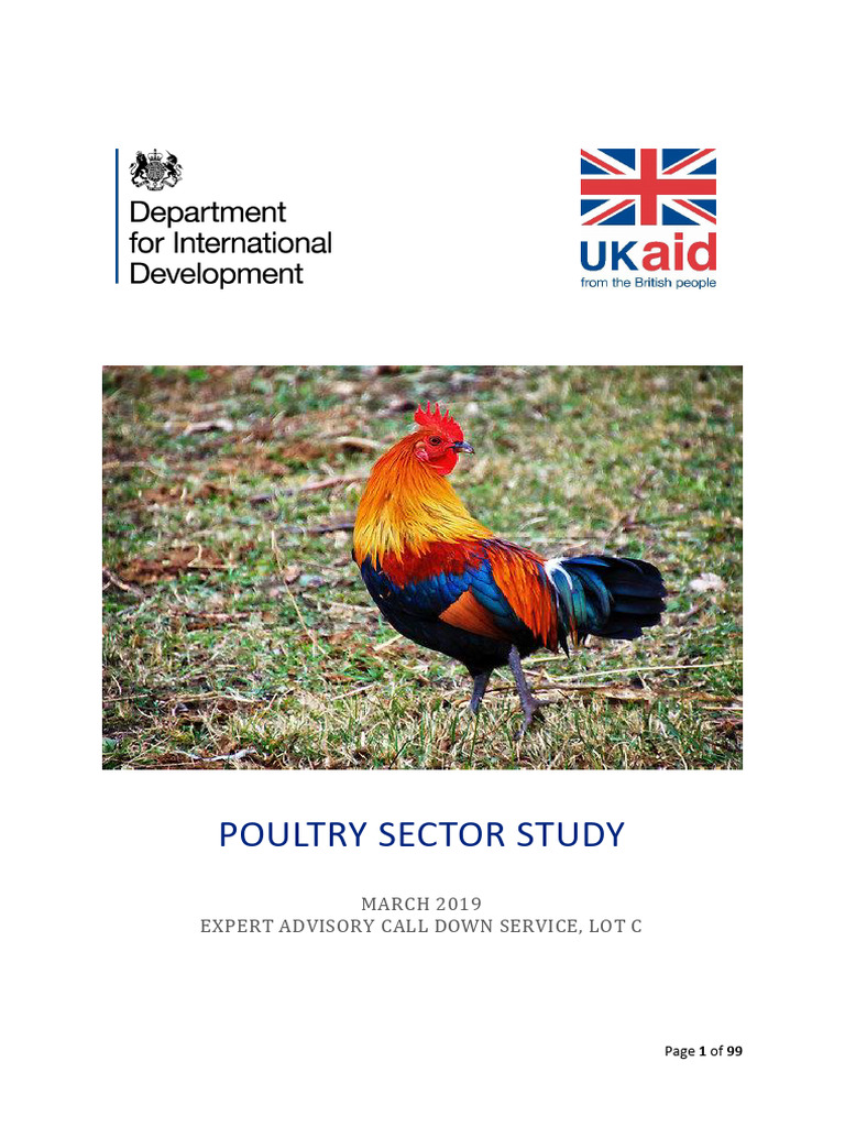 DFID Poultry Sector Study 180419 | PDF | Meat | Smallholding