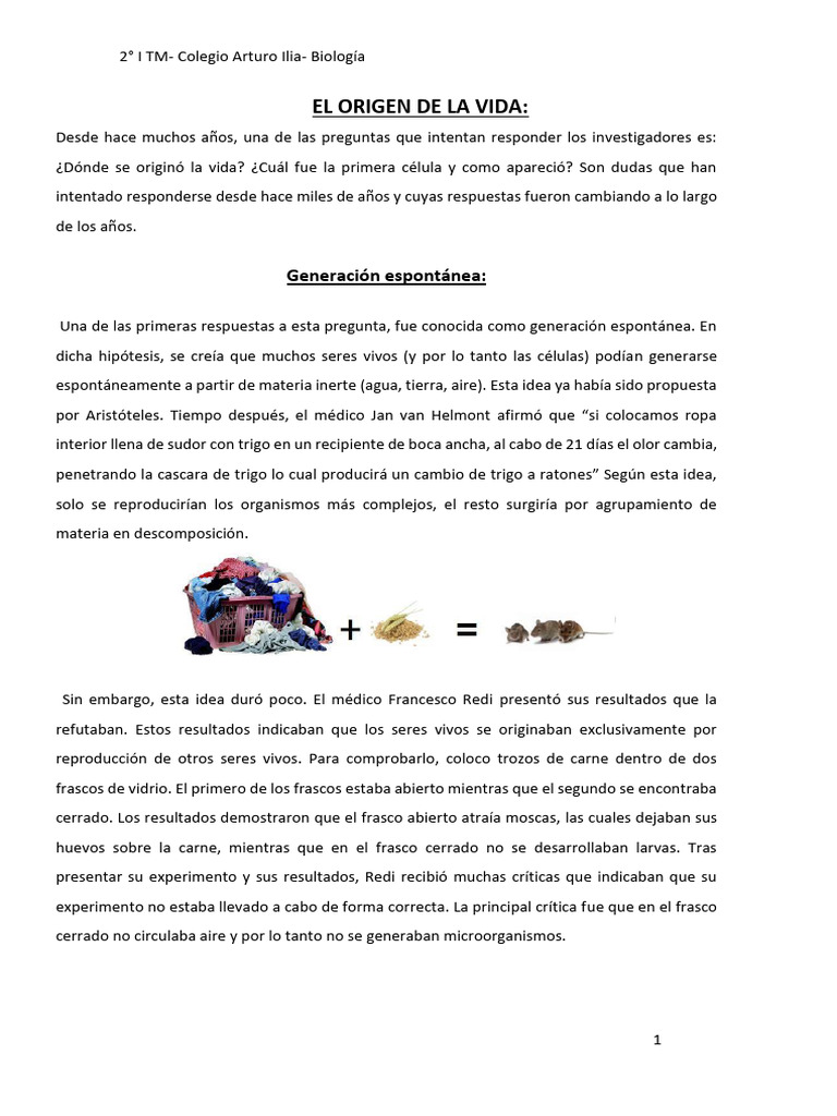 El Origen de La Vida | PDF | Abiogénesis | Biología