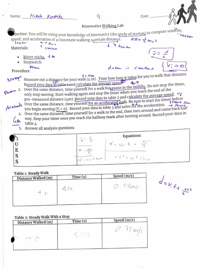 Walking Lab | PDF