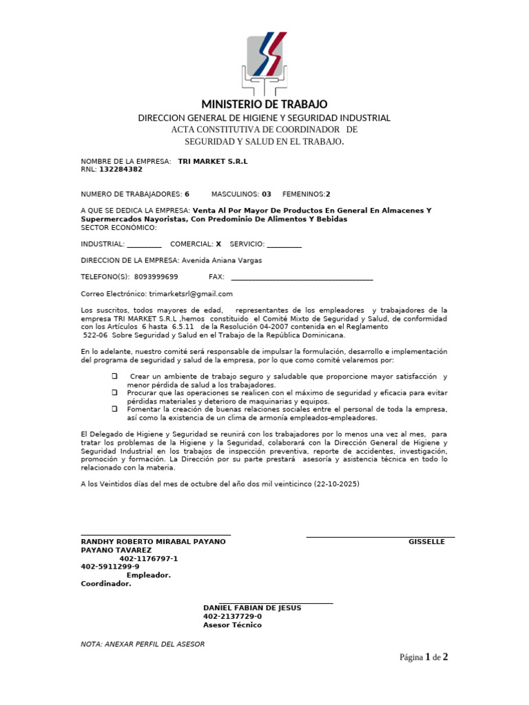 Acta de Seguridad y Salud TRI MARKET S.R.L | PDF | Economias