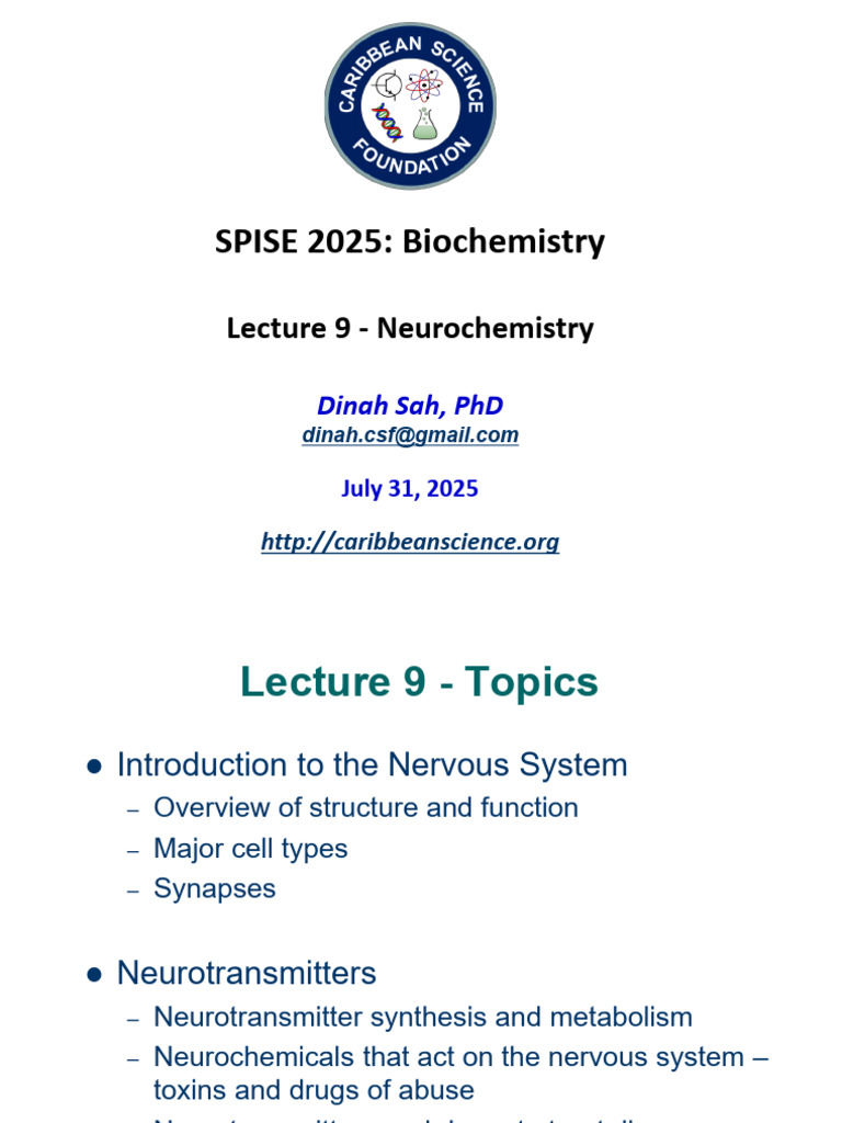 Neurochemistry of the Nervous System | PDF | Neurotransmitter ...