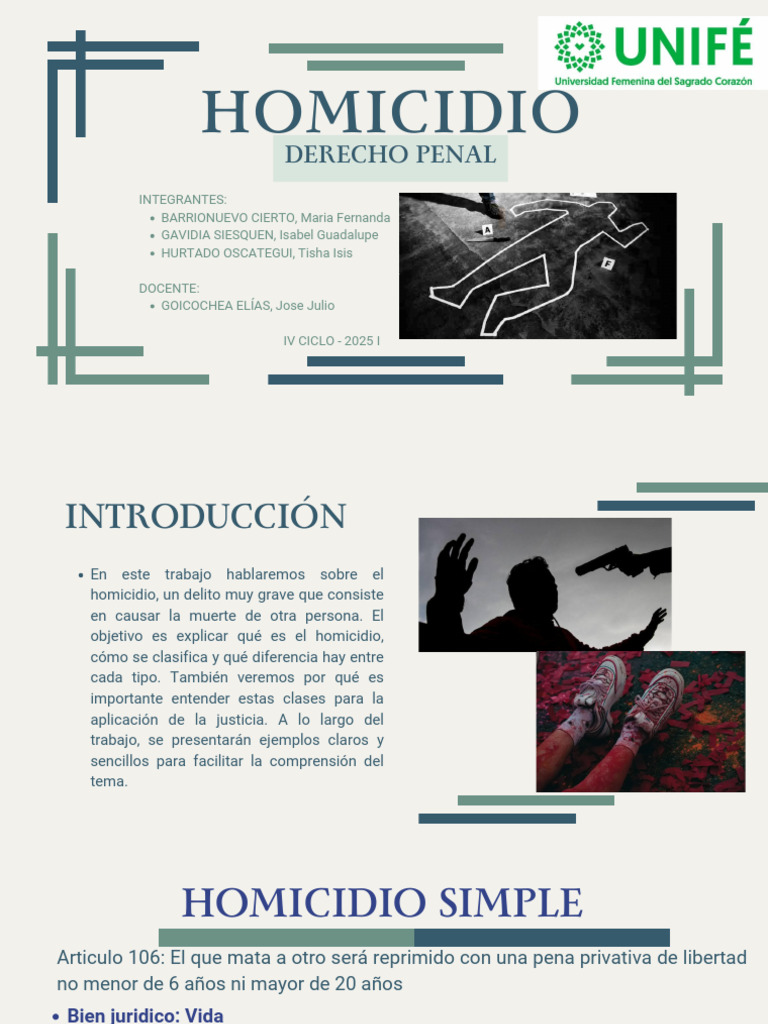 Tipos de Homicidio en Derecho Penal | PDF | Homicidio involuntario ...