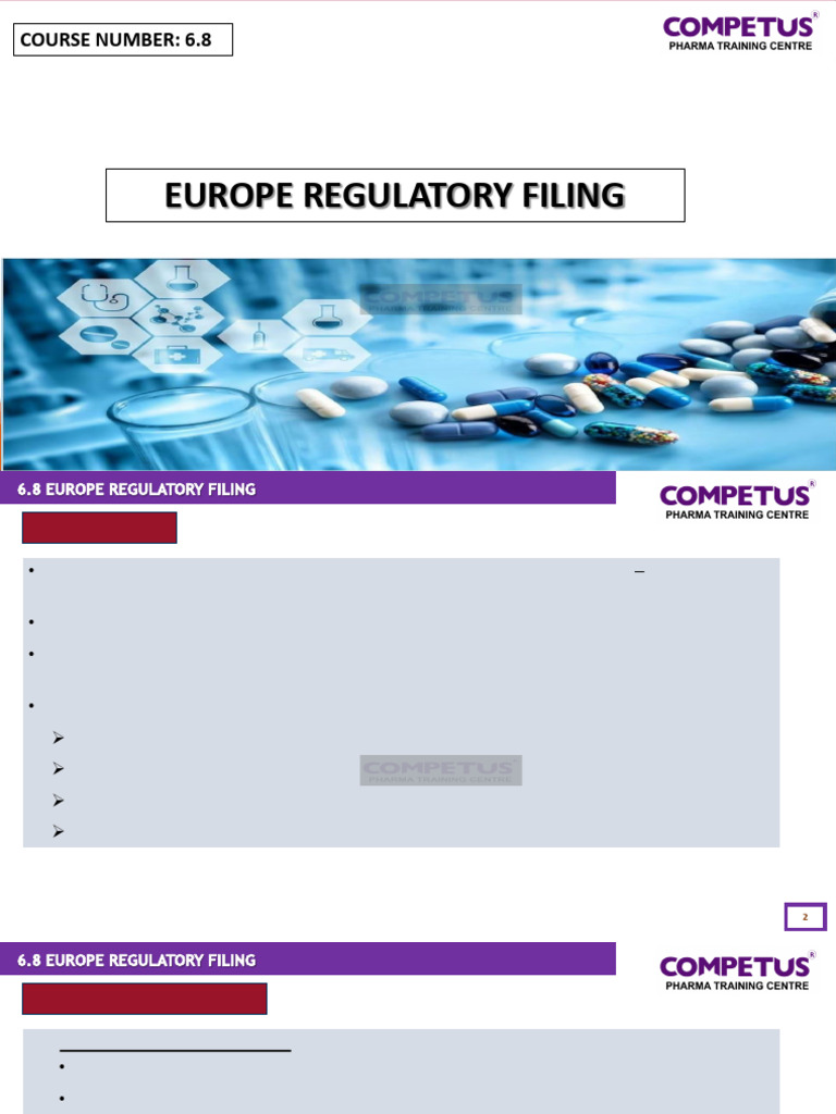 Europe Regulatory Filing Overview | PDF | European Economic Area | Life ...