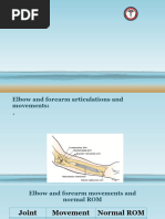 Manual Muscle Testing Grades 3-5 Summary | PDF | Anatomical Terms Of ...
