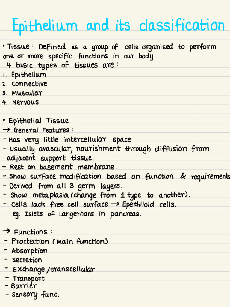 Epithelium and It's Classification | PDF | Epithelium | Anatomy