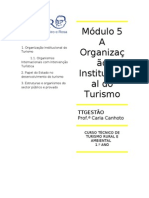 Organização Institucional Turismo