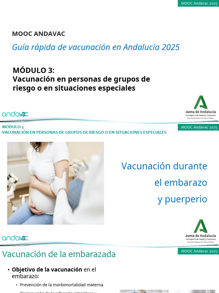 3.1. Embarazo y Puerperio | PDF | Vacunas | Influenza