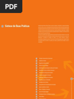 Sintese de Boas Praticas