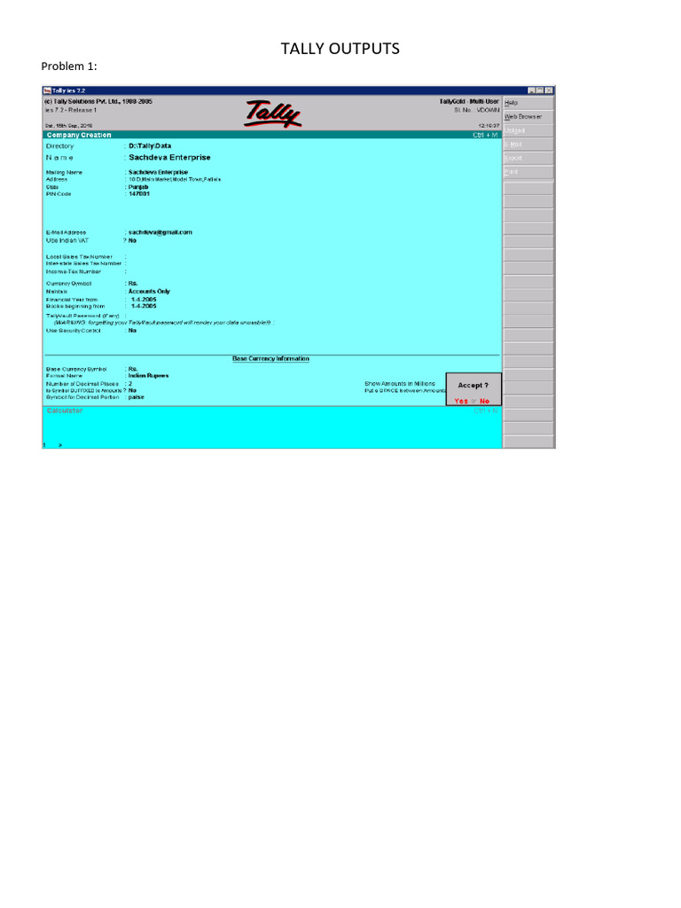 Computerized Accounting (Outputs) | PDF