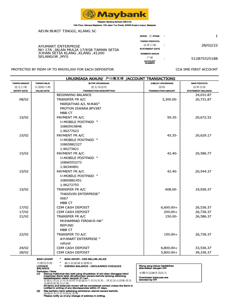 Account Transactions Statement Summary | PDF | Password