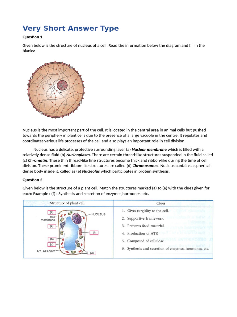 Cell Structure and Function Overview | PDF | Cell (Biology) | Cell Nucleus