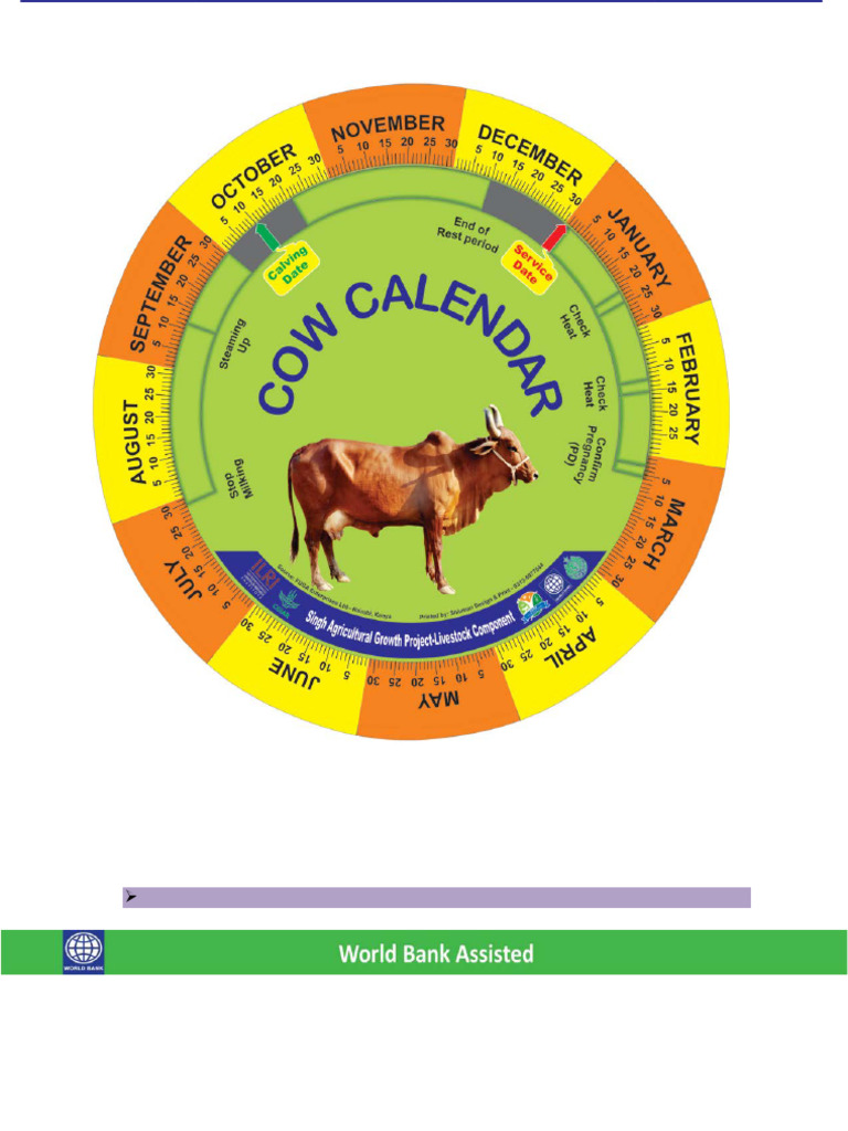 Dairy Cow Reproduction Calendar Guide | PDF