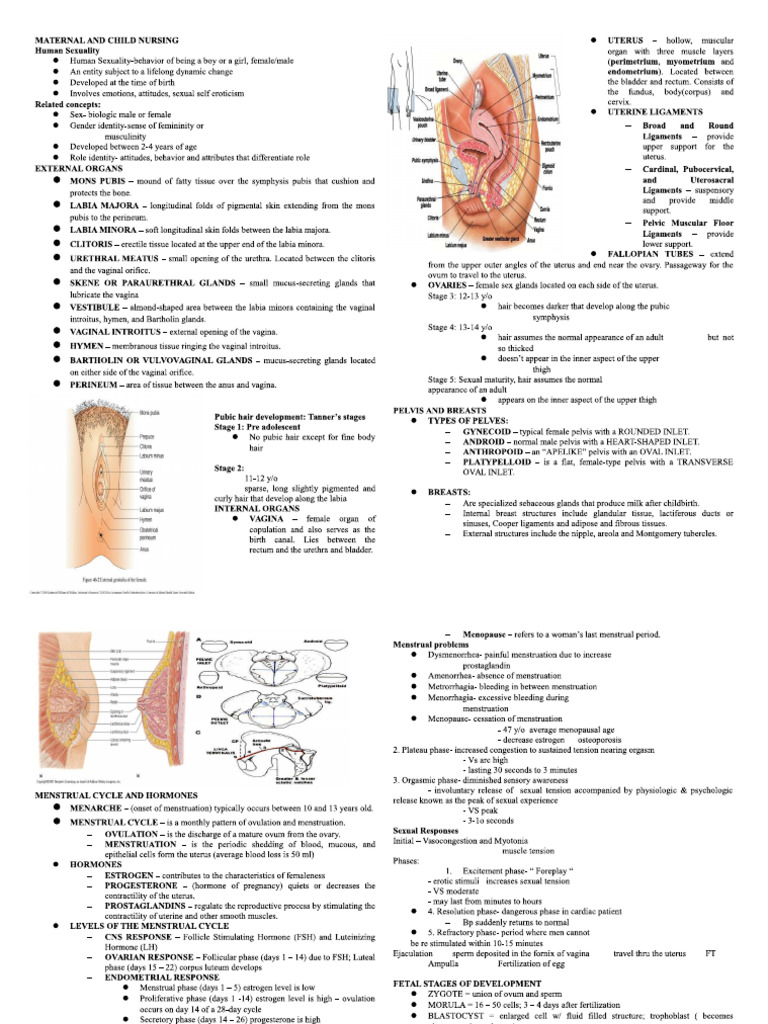 Complete Mom and Baby Study Material | PDF