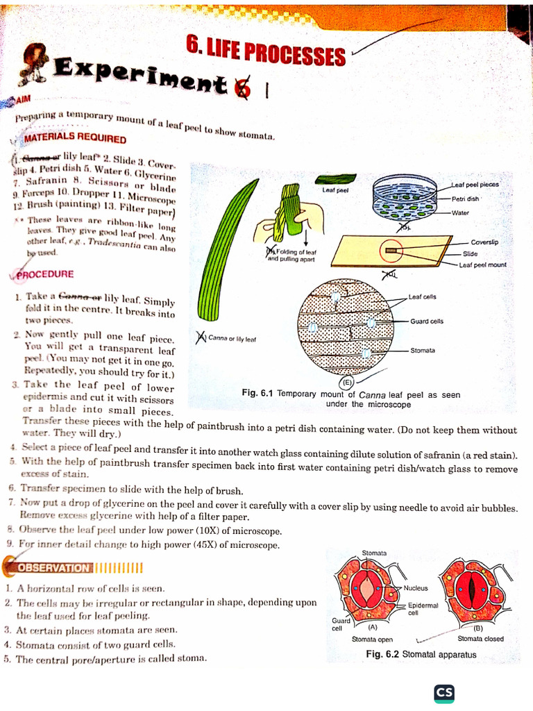 CLASS 12 BIO Record | PDF