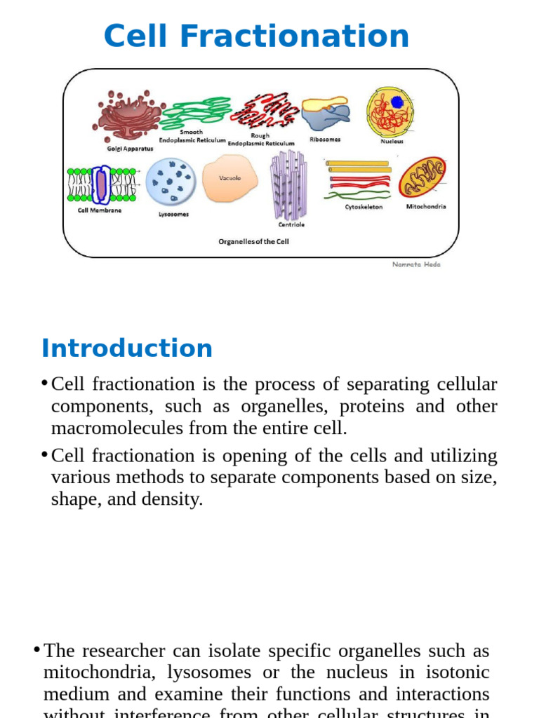 Cell Fractionation Techniques Explained | PDF | Centrifugation | Lysis