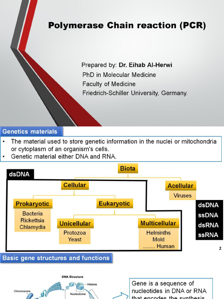 9 PCR | PDF