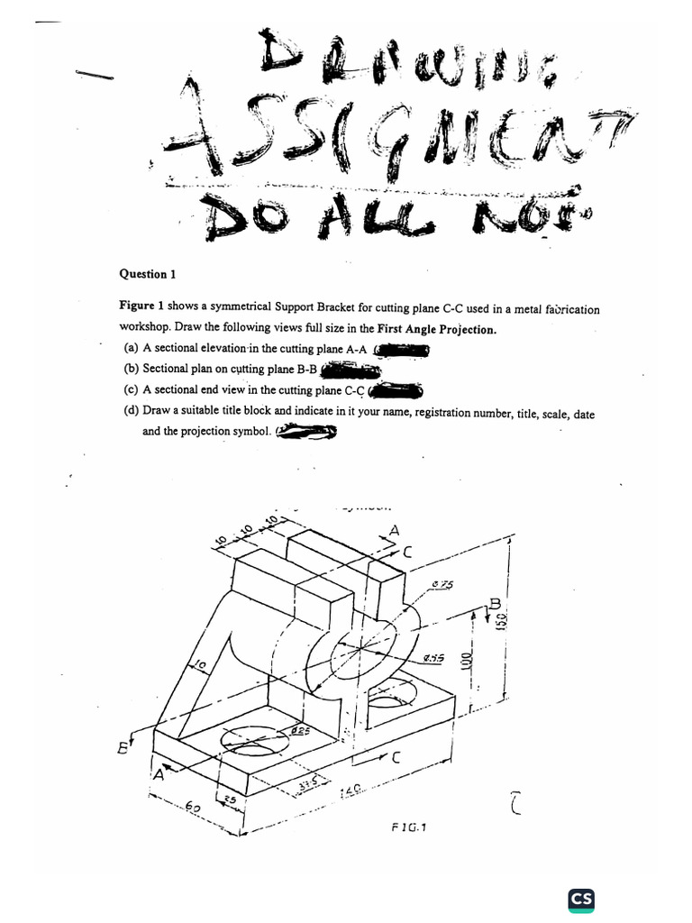 Assignment - Sectioning | PDF