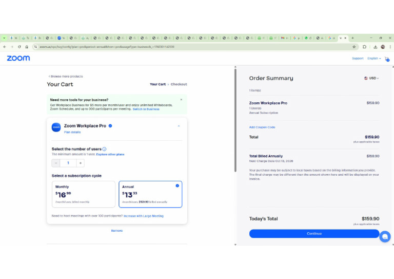 Zoom Workplace Pro Plan Price | PDF
