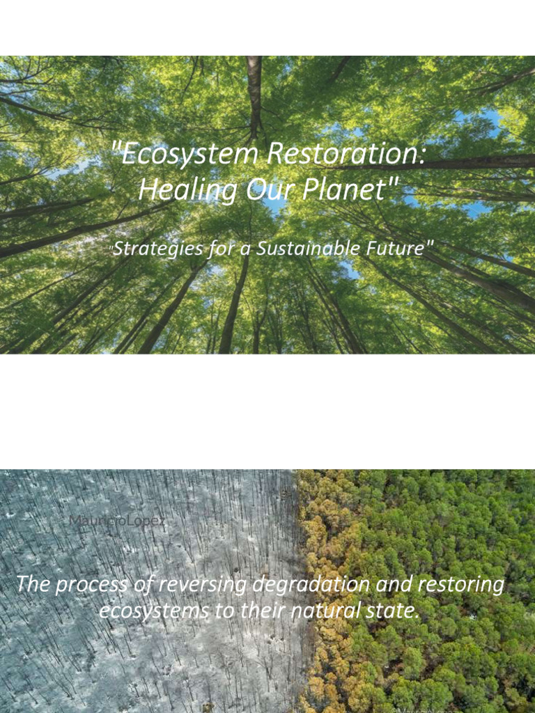Ecosystem Restoration | PDF