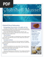 Download Clubshell Mussel- Endangered Species by shannoncarp13 SN9378656 doc pdf
