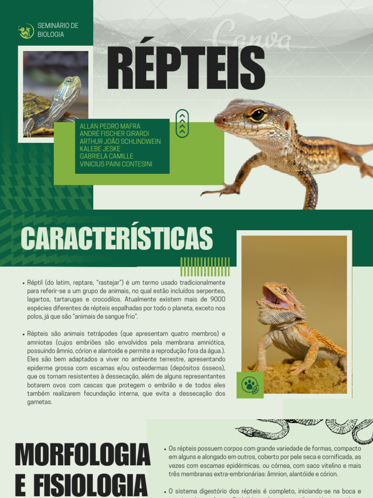 Características e Classificação dos Répteis | PDF | Tartaruga | Serpente