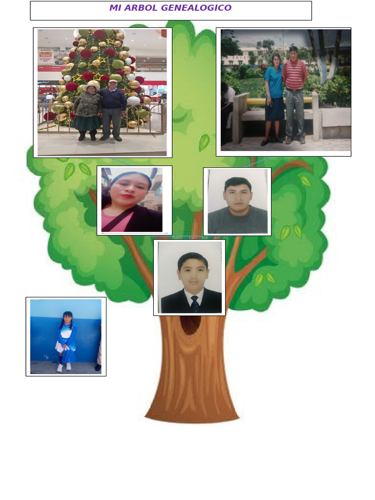 Arbol Genealogico | PDF