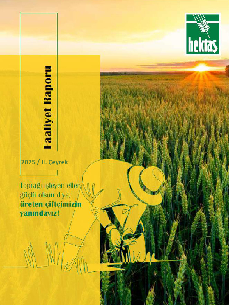 Faaliyet Raporu 30062025 | PDF