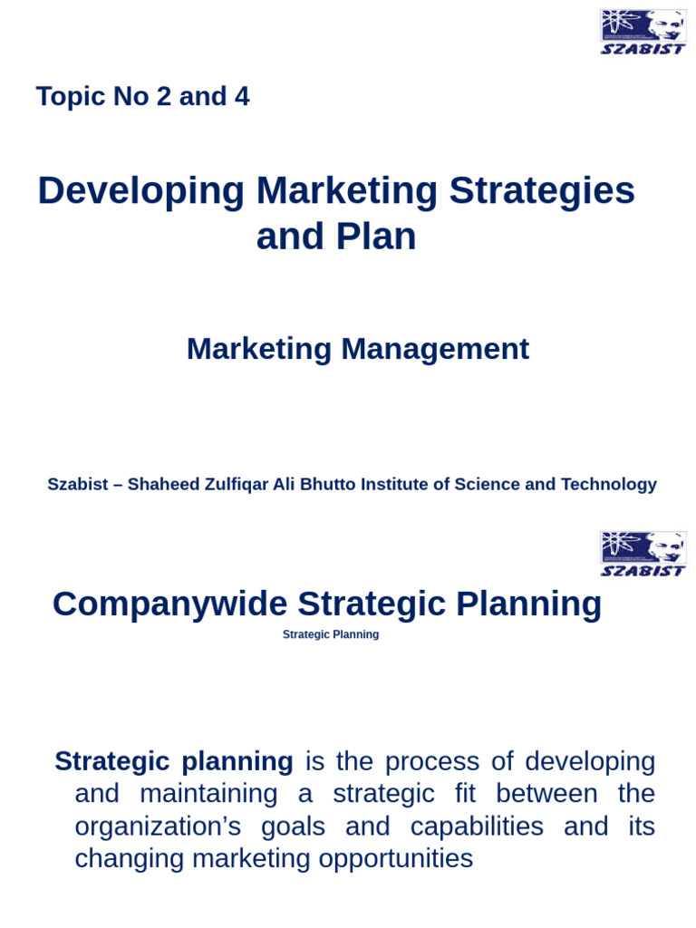 Strategic Marketing Planning Guide | PDF | Marketing | Market Segmentation