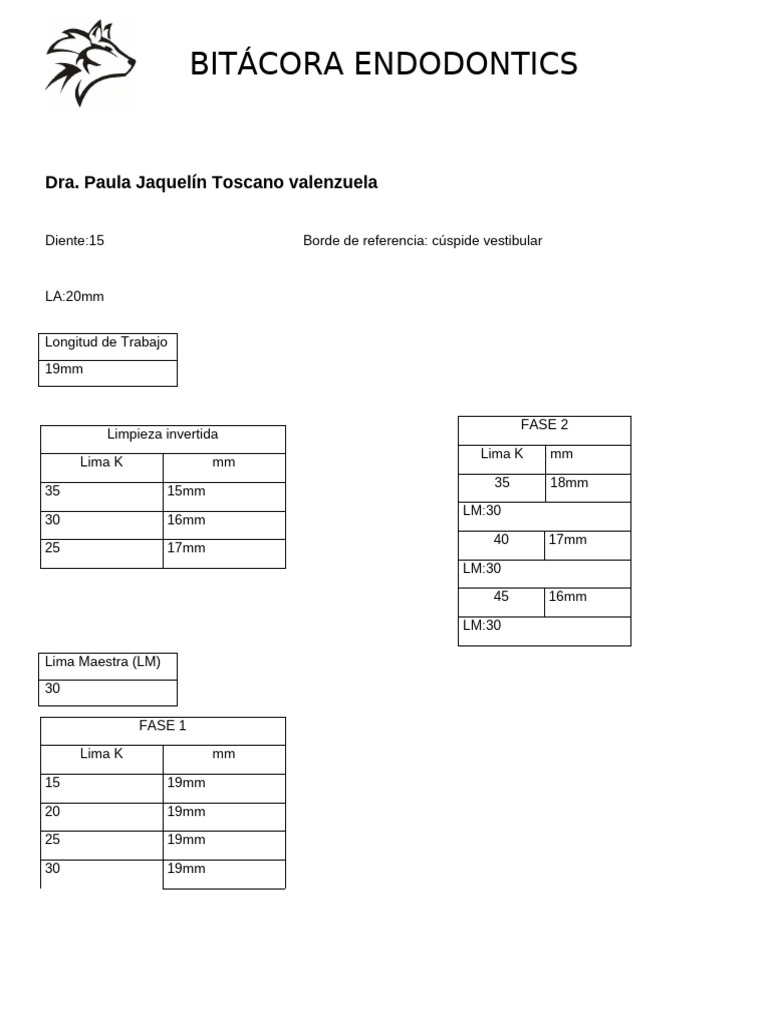 Bitacorq 13 | PDF