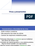 Virus y Procariontes