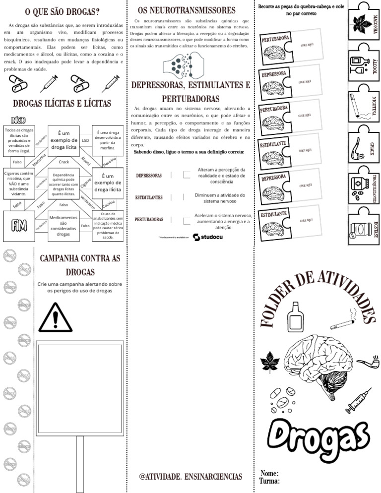 Tipos de Drogas: Efeitos e Riscos | PDF | Drogas | Neurotransmissor