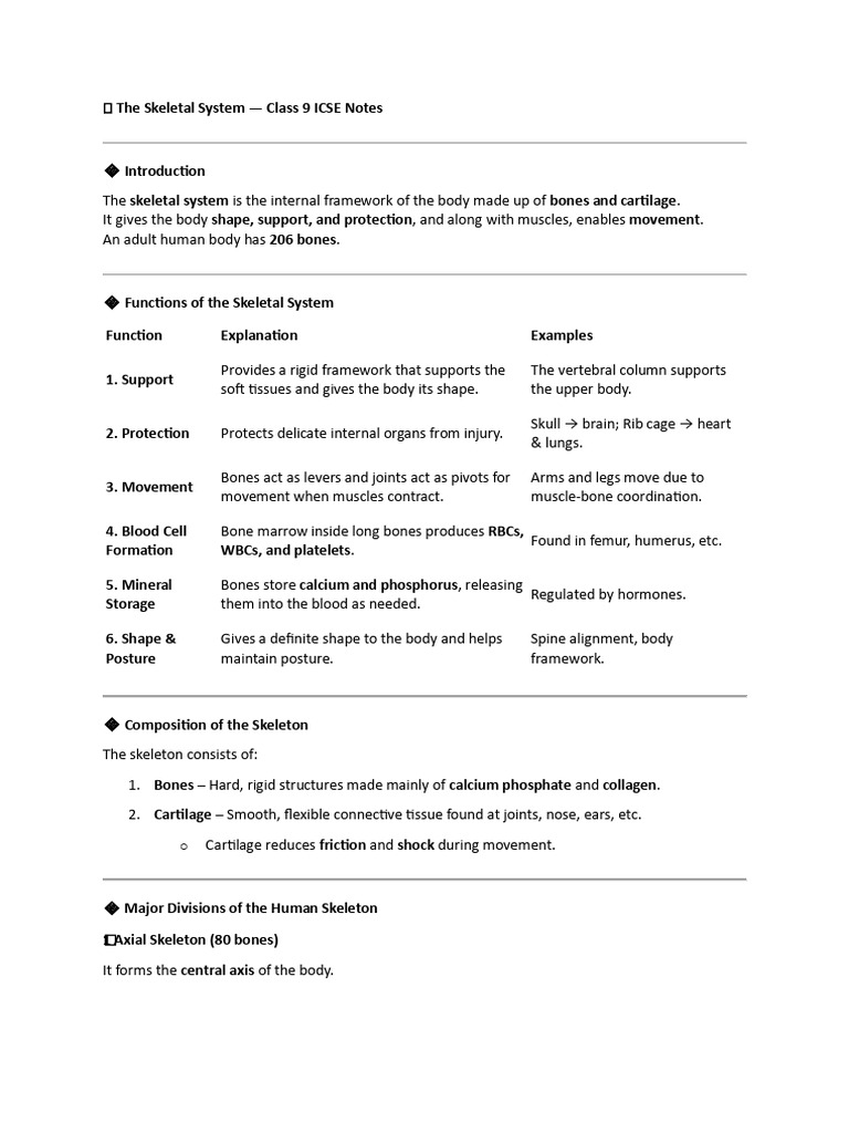 Class 9 ICSE Skeletal System Notes | PDF | Skeleton | Bone