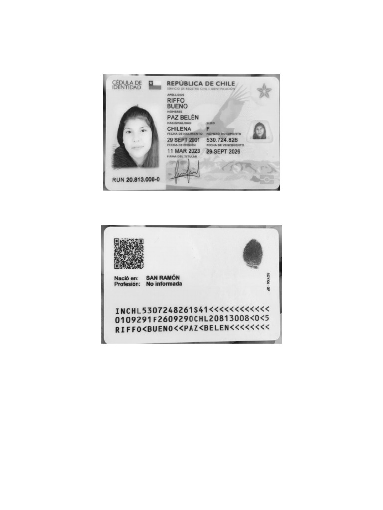 Carnet | PDF