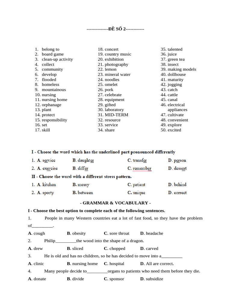 Vocabulary and Grammar Practice Test | PDF | Linguistics