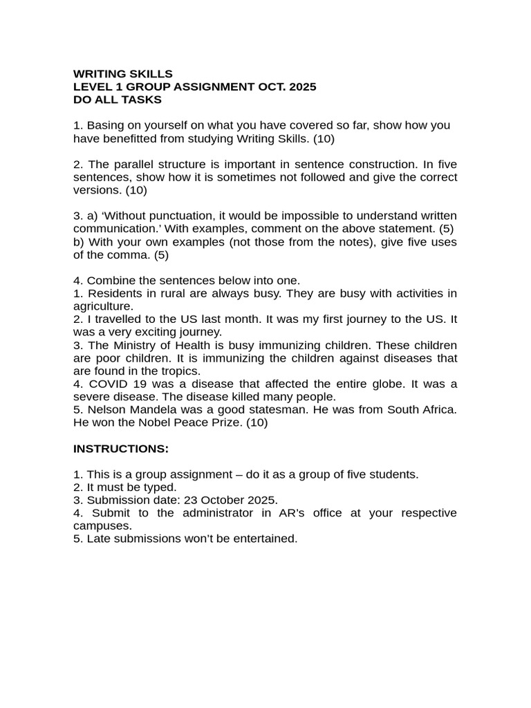 Level 1 Group Assignment Oct. 2025 | PDF