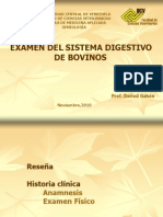 Digestivo Bovinos 2010