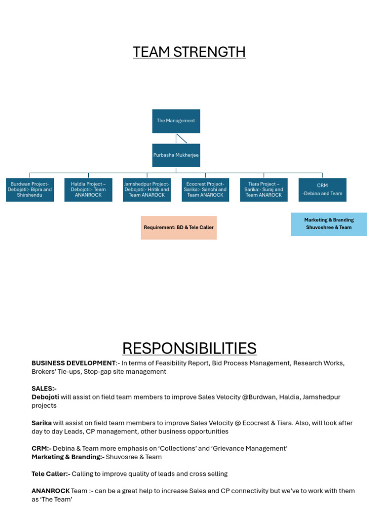 Team Structure and Responsibilities Overview | PDF