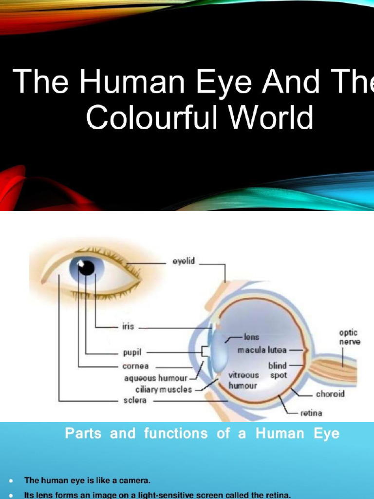 New Ch11 Human Eye and Colourful World | PDF
