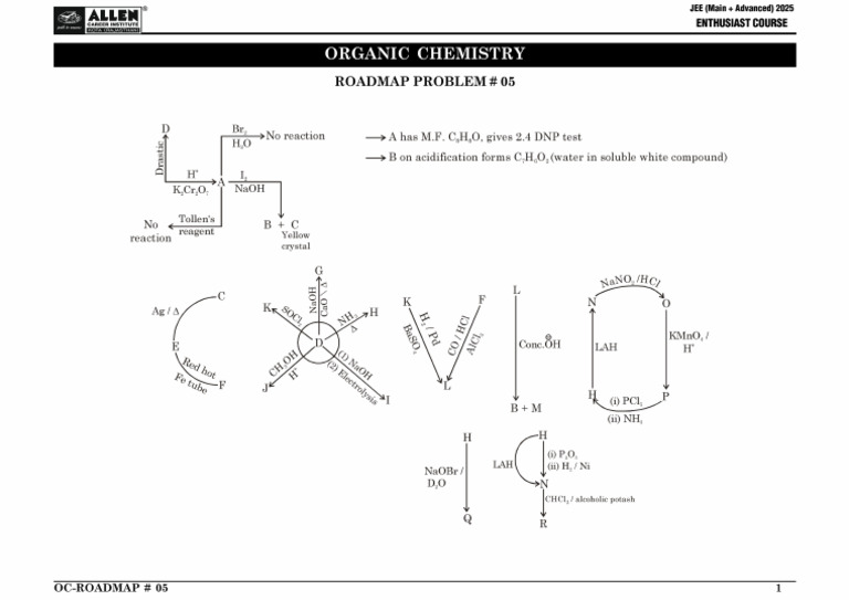 05 ROADMAP Student | PDF