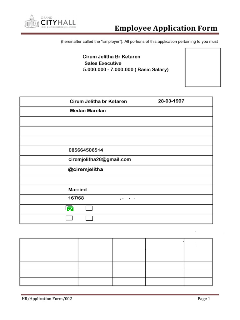 Grand City Hall Hotel Application Form | PDF | Health Care | Health ...