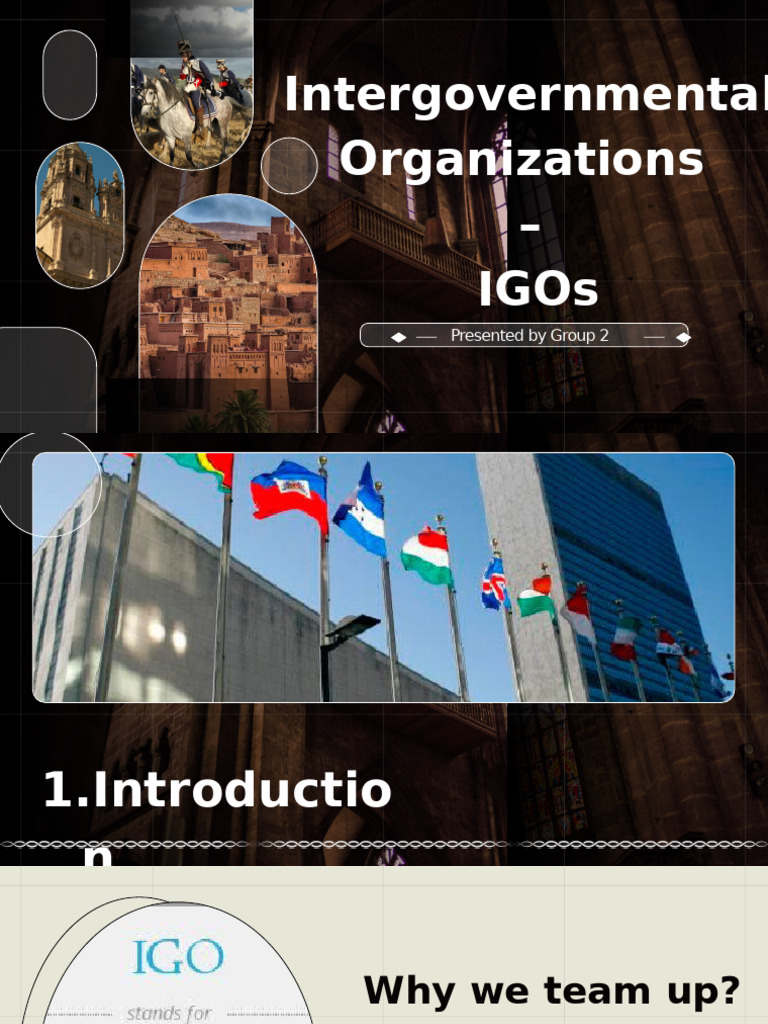 Key Examples of Intergovernmental Organizations | PDF | United Nations ...