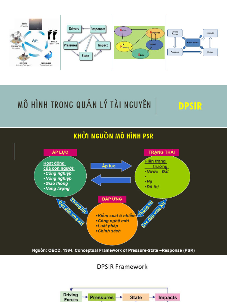 Principles of NREM - Week 5 6 (DPSIR) | PDF