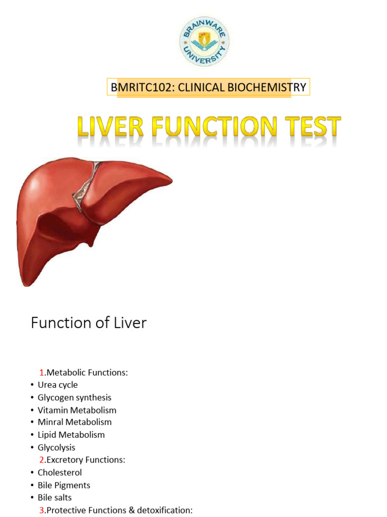 Liver Function Tests Overview | PDF | Alanine Transaminase | Medical ...