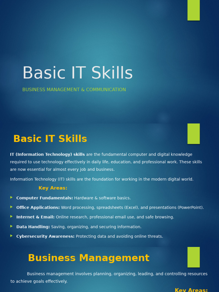 Essential IT and Business Skills Guide | PDF