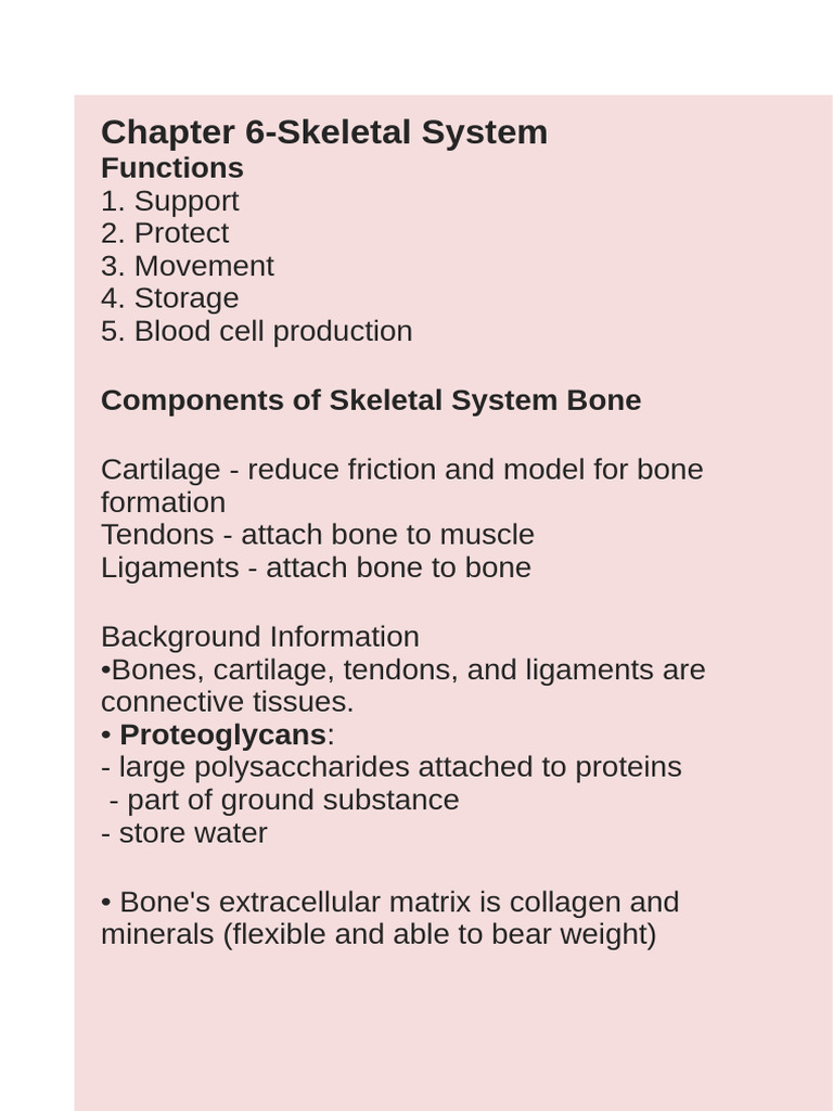 Skeletal System Overview and Functions | PDF | Bone | Muscle Contraction